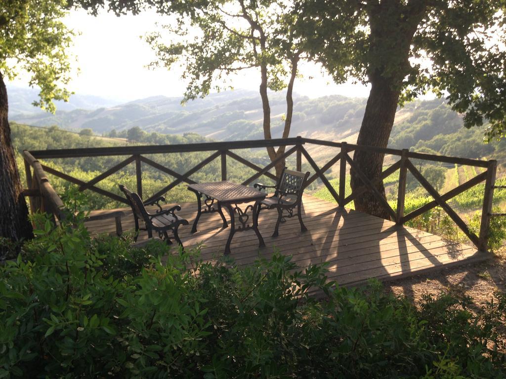 Agriturismo Erta Villa Casole d'Elsa Ngoại thất bức ảnh