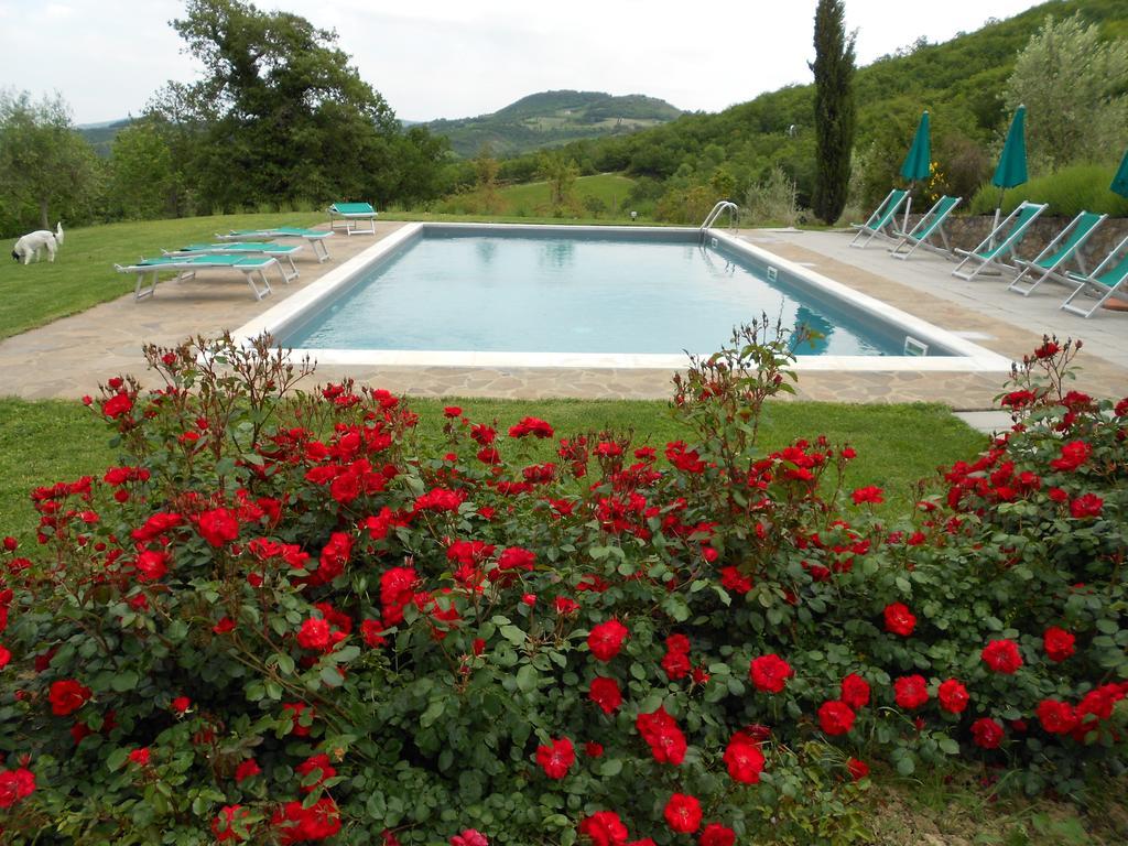 Agriturismo Erta Villa Casole d'Elsa Ngoại thất bức ảnh