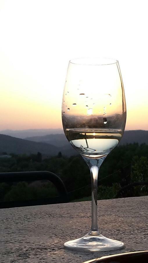 Agriturismo Erta Villa Casole d'Elsa Ngoại thất bức ảnh