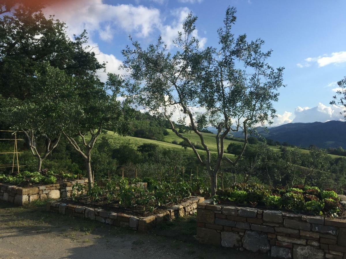 Agriturismo Erta Villa Casole d'Elsa Ngoại thất bức ảnh